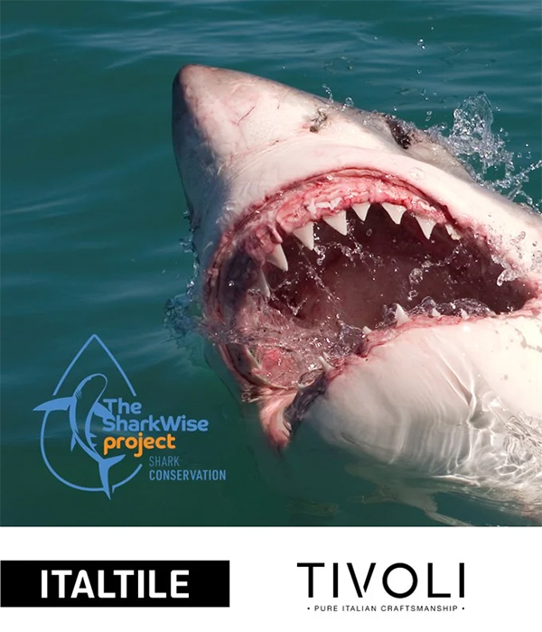 Italtile launches The SharkWise Project 