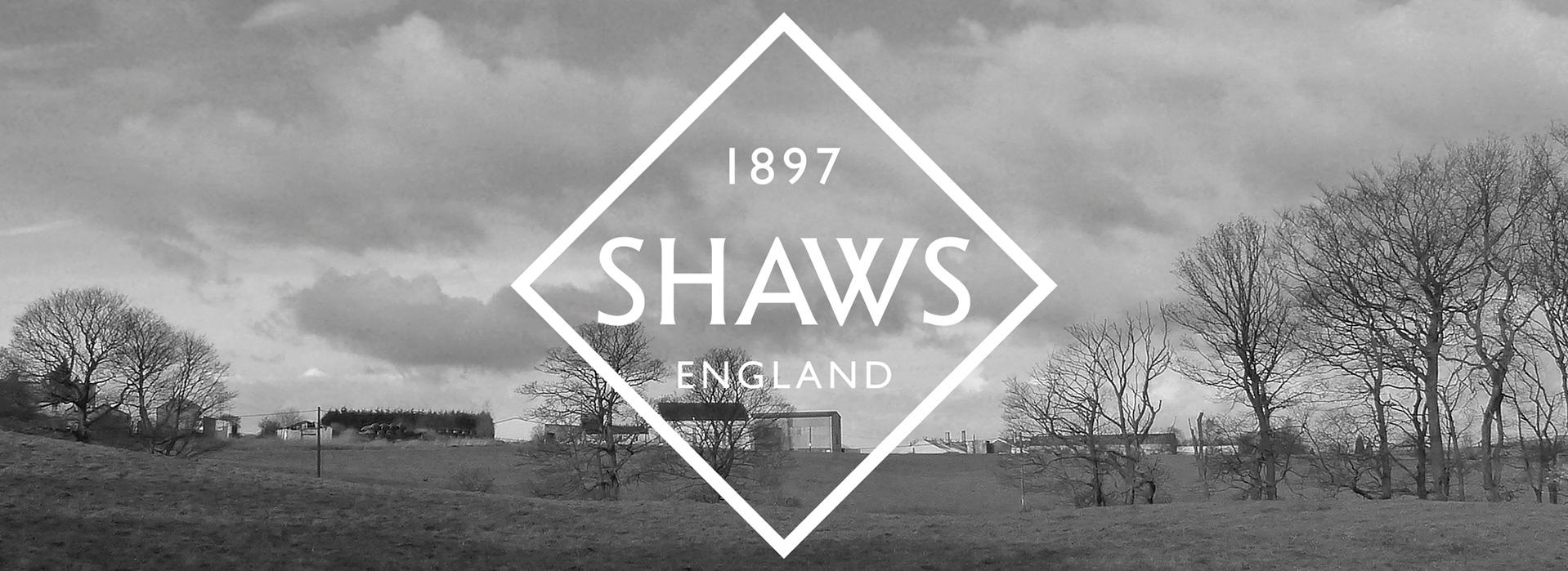 Shaw Sinks | New Arrivals 